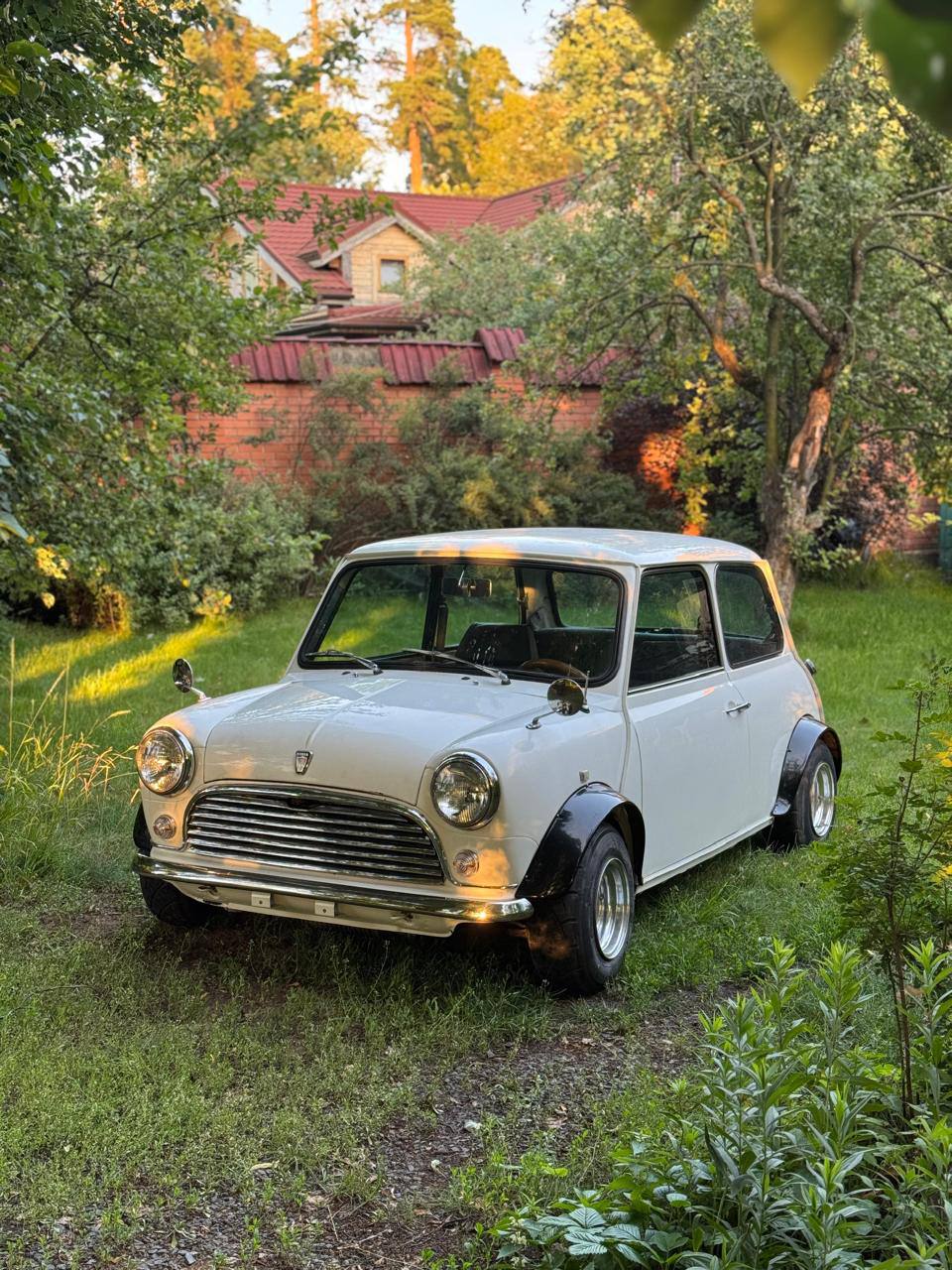 Rover Mini MK 1.0